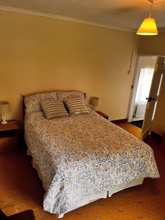 Peaceful, Cosy Cottage in the  Forest of Dean Overlooking Common Land.