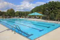 Newly Renovated Golfer's And/Or Boater's Dream Get Away!