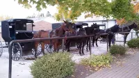 The Chestnut Barn built in 1830 is nestled in the quaint Amish town of Winesburg