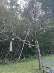 2 Bd Private Cabin,50 Min to Ski&Snowmobile. Walk Trails, 30 Acre.1 Pet Allowed