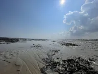 Maison Entièrement Rénovée Située à 50 Mètres de la mer Jardin 4 Chambres 2 SDB