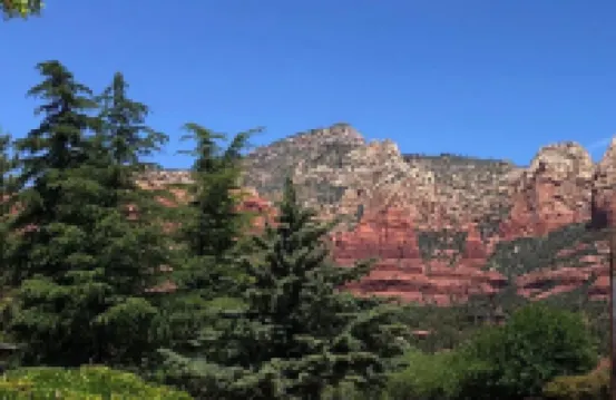 DreamCatcher-S Uptown! Walk to Shop/Dine/Hike