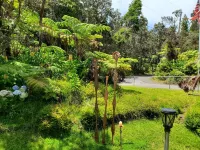 Experience Tranquility in a Spacious 3-Bedroom Surrounded by Hawaiian Forest