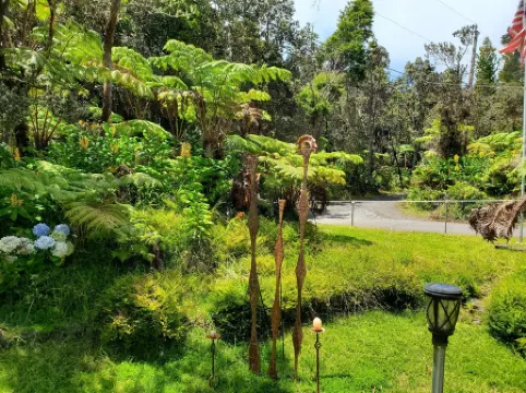 Experience Tranquility in a Spacious 3-Bedroom Surrounded by Hawaiian Forest