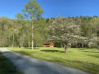 New 2/2 Log Cabin, Rushing Trout Stream, Hot Tub, Fireplace, 8 Acres, WiFi