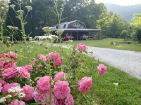 River Love ❤@ The Barn *Highlands<br>Home on the Cullasaja RiverTrout Fishing