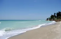 Sunny Oasis: Bright, Private and Beautiful Retreat!Magnolia Rentals