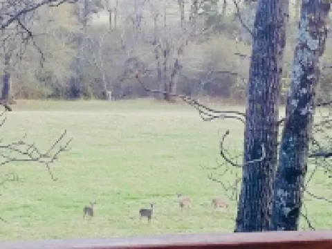 Prairie Creek Cabin -Ride SxS to trails from the cabin! Kayak and Fish the Creek