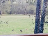 Prairie Creek Cabin -Ride SxS to trails from the cabin! Kayak and Fish the Creek