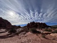 Private Scenic Stay at Sycamore Lane