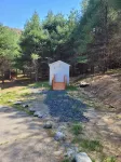 Gavin Cabin