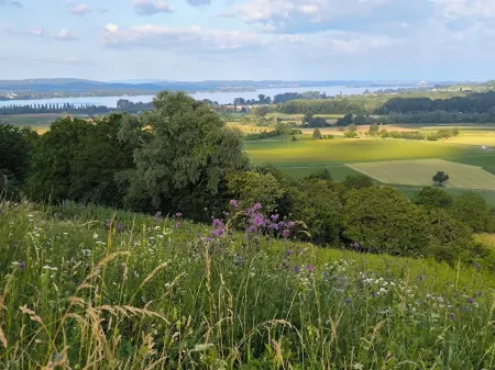 Bo'SeeAnNa II: DG maisonette holiday apartment: winding and cozy (43sqm)