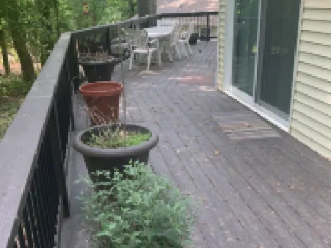 Bay view from Calvert Cliffs, Solomons Island & State Park nearby Hotels in Calvert County