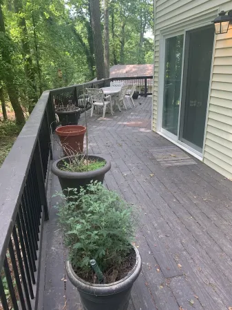 Bay view from Calvert Cliffs, Solomons Island & State Park nearby
