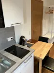 Modern wooden style apartment close to the nature