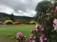 Cottage retreat in wooded secluded private grounds