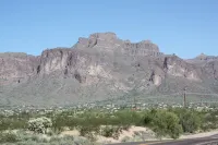 Saguaro Sunset Retreat - Homestays
