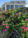 WATERFRONT COTTAGE WITH PRIVATE BEACH! On Beach Point in Truro... Not a condo...