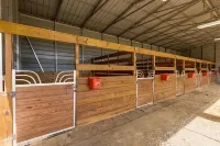 Charming farm with 2 homes, horse stables and heated pool ~ 5+ bedrooms near WEC