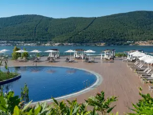 타이타닉 럭셔리 컬렉션 보드룸