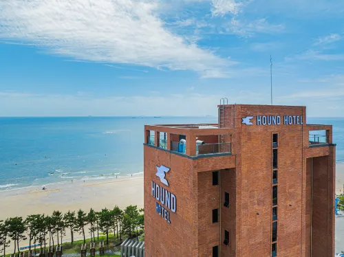 Hound Hotel Daecheon Hotels in Boryeong-si