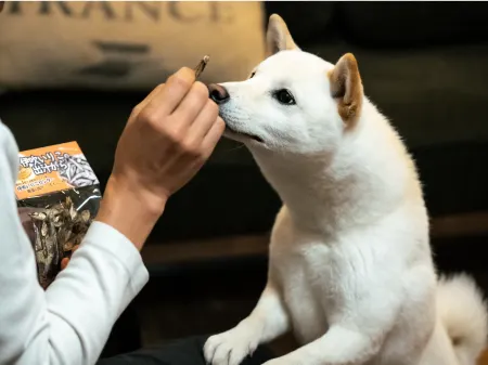 Color Palette Sorahaku COTON -TOMA Rutto Отели рядом со станцией JR Kan'onji station