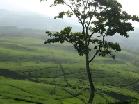 Rangga Inn