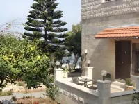 Tamer Guest House