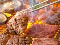 Wakasu Kogen Lodge Fujinashi Hotels in Yabu