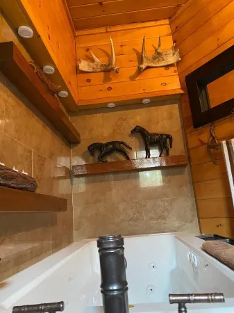 secluded log home, minutes from all star village in Oneonta