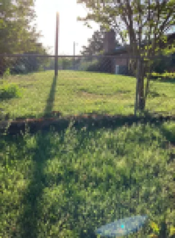 Melody's Bed and "Catch Your Breakfast