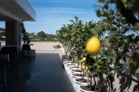 미들 타운 팰리스 트로페아