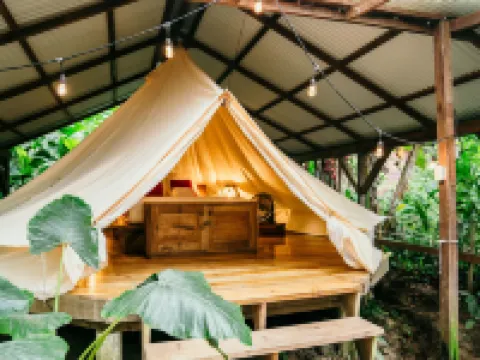 Palmar Beach Lodge Hotels in Bastimento