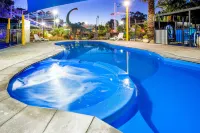 Big4 Traralgon Park Lane Holiday Park - Kolam Renang