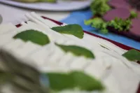 فافيان هوتل - جاكوزي
