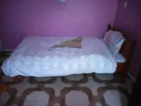 Royal Guest House - Homestays
