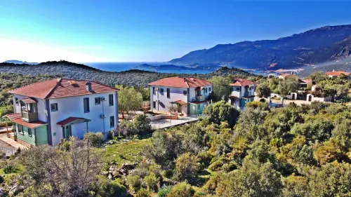 Lacitrus Villa Hotel Hotels in Bayindir Mahallesi