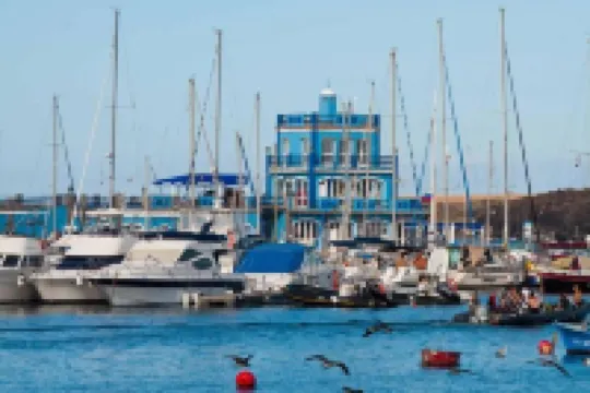 Hostel Neon Tenerife