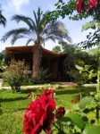 Olympos Yavuz Hotel