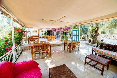 يوكاليبتس بينشن فنادق مميّزة Photos