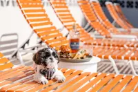 路易斯維爾萬怡希爾頓啟繽精選飯店