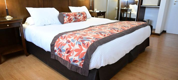 Hotel Mendoza Hotels in Mendoza