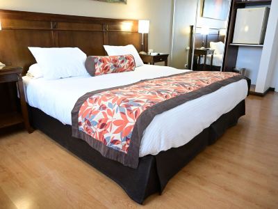 Hotel Mendoza