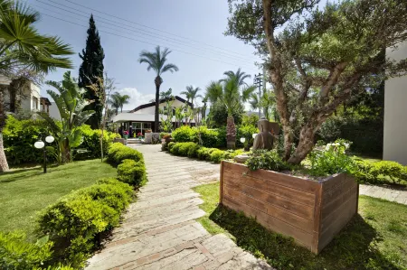 The LifeCo Bodrum Well - Being Center - Adults Only