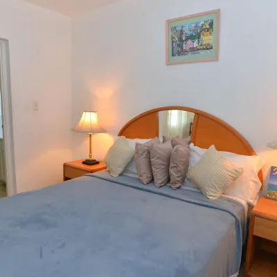 Palm View Guesthouse and Conference Centre Hotels near Montego Bay Marine Park Trust