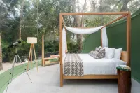 Oom Bubble Boutique Riviera Cancun - Adults Only