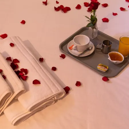 Hotel Toulousain
