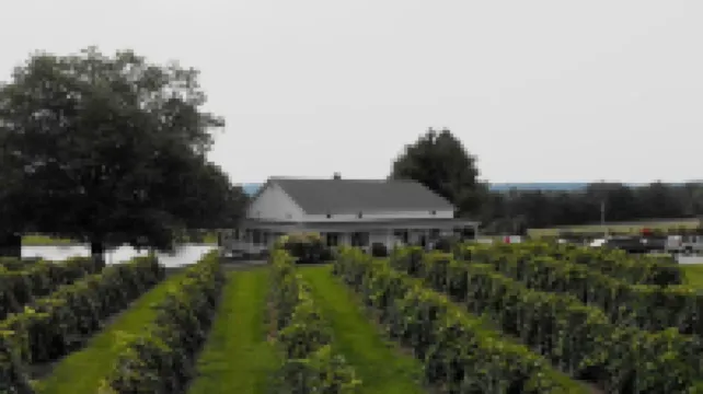 Cozy Tiny Cabin near Ferne Clyffe and Lake of Egypt with Wi-Fi