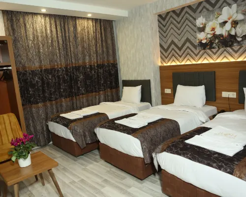 BIANCA Deluxe Hotel Van Hotels near Van Castle
