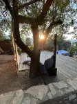 Palmira Selimiye Hotels in Söğüt
